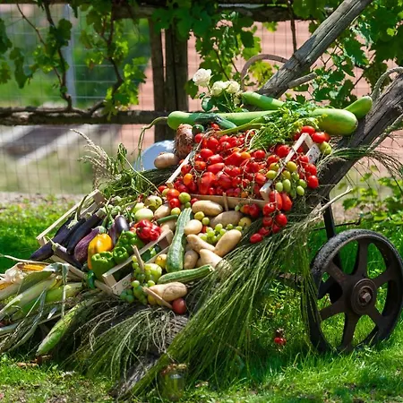 Il Casale Del Contadino * Agerola