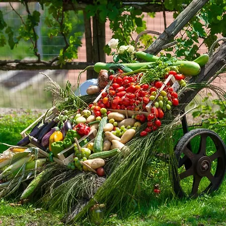 Il Casale Del Contadino * Agerola